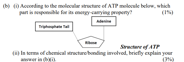 Solved Below Diagram Shows A Reaction Profile Of ATP Chegg