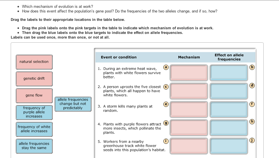 Drag each label to the appropriate location on the flowchart. 