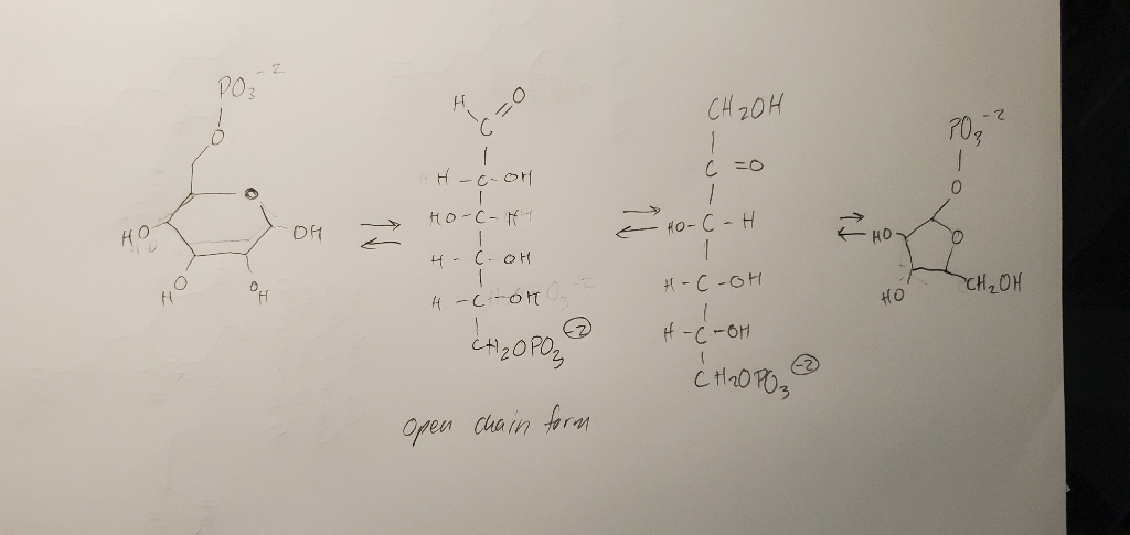 Solved Isomerization Reaction Show Curved Arrows On The Chegg