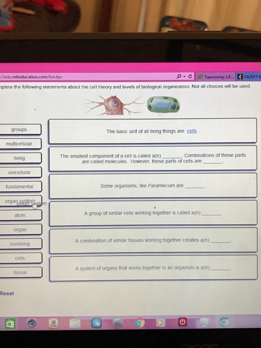 Solved: Groups The Basic Unit Of All Living Things Are Cel ...