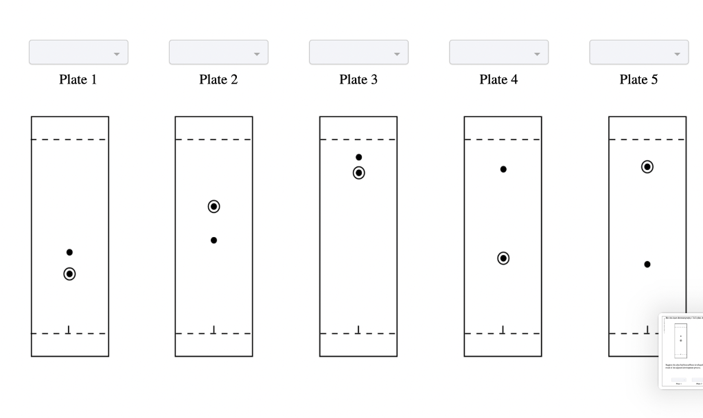 Solved The Thin Layer Chromatography Tlc Plate Shown