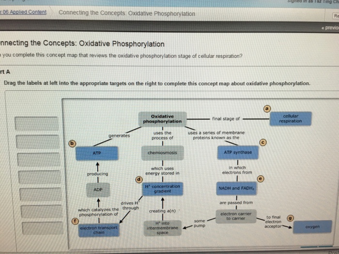 You Complete This Concept Map That Reviews The Oxi 1235