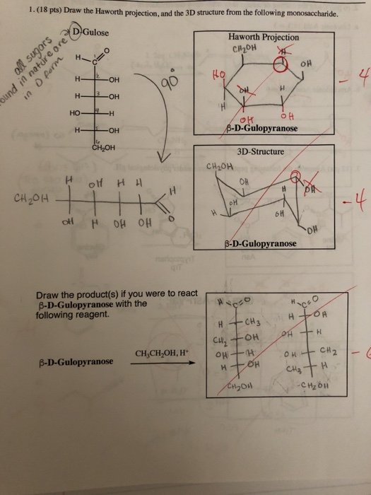 Solved 1 18 Pts Draw The Haworth Projection And The 3D Chegg