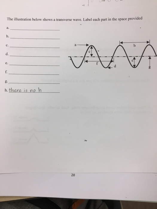 Label The Parts Of A Transverse Wave