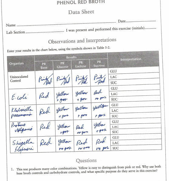 Solved Phenol Red Broth Data Sheet Name Date Chegg