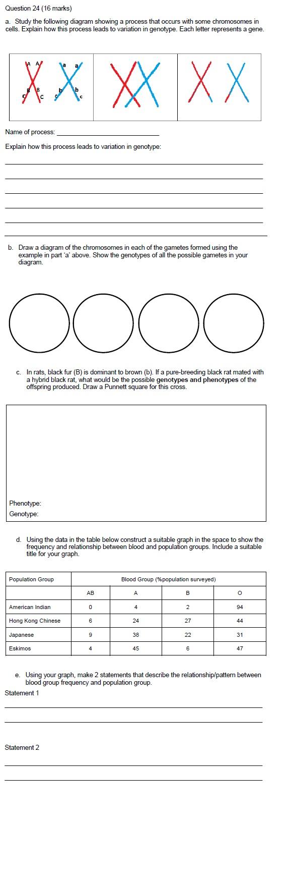 The Diagram Below Shows A Process That Affects Chromosomes S