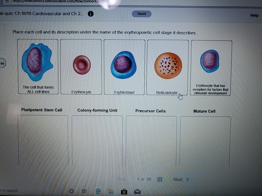 Solved Place Each Cell And Its Description Under The Name Chegg