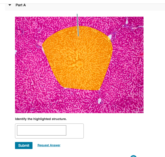 Solved Part A Identify The Highlighted Structure Submit Chegg