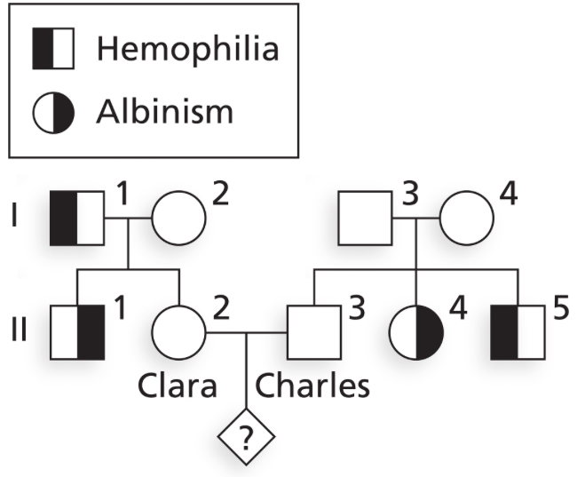 Solved Hemophilia A Is An X Linked Recessive Disorder The Chegg