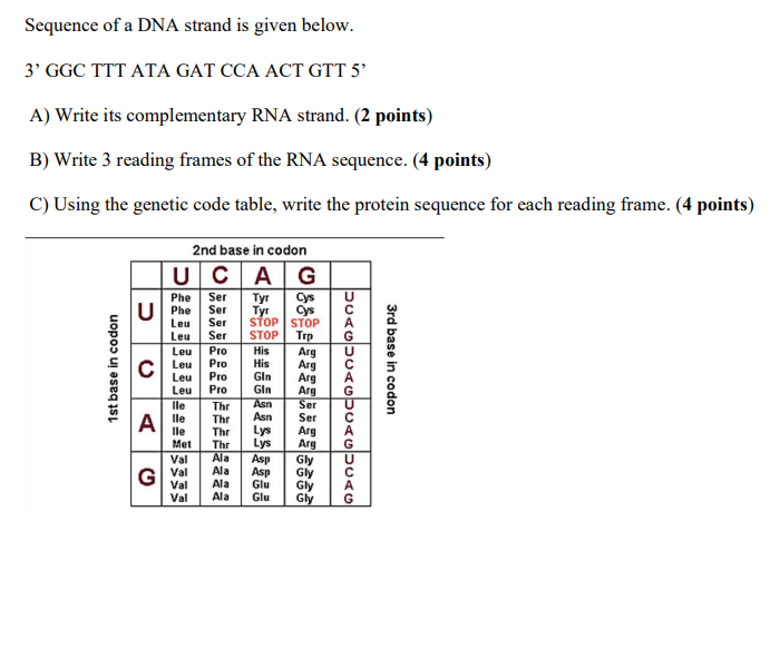 Solved Sequence Of A Dna Strand Is Given Below Ggc Ttt Chegg