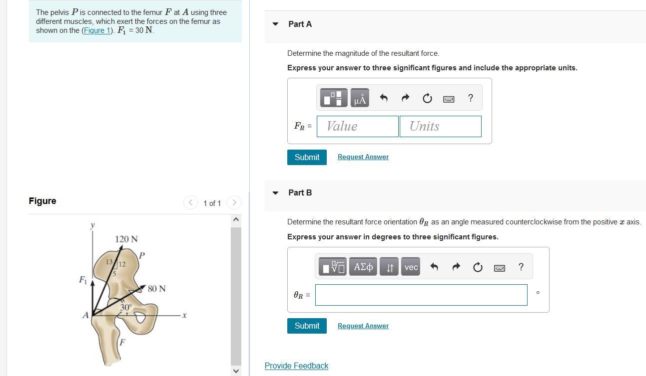 Solved The Pelvis P Is Connected To The Femur Fat A Using Chegg