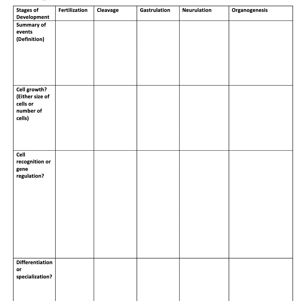 Solved Fertilization Cleavage Gastrulation Neurulation Chegg