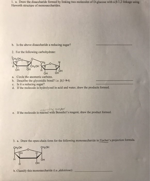 Solved 1 A Draw The Disaccharide Formed By Linking Two Chegg