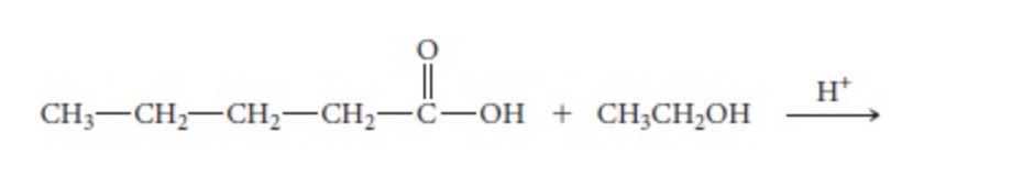 Solved Draw The Molecules For These Reactions Chegg