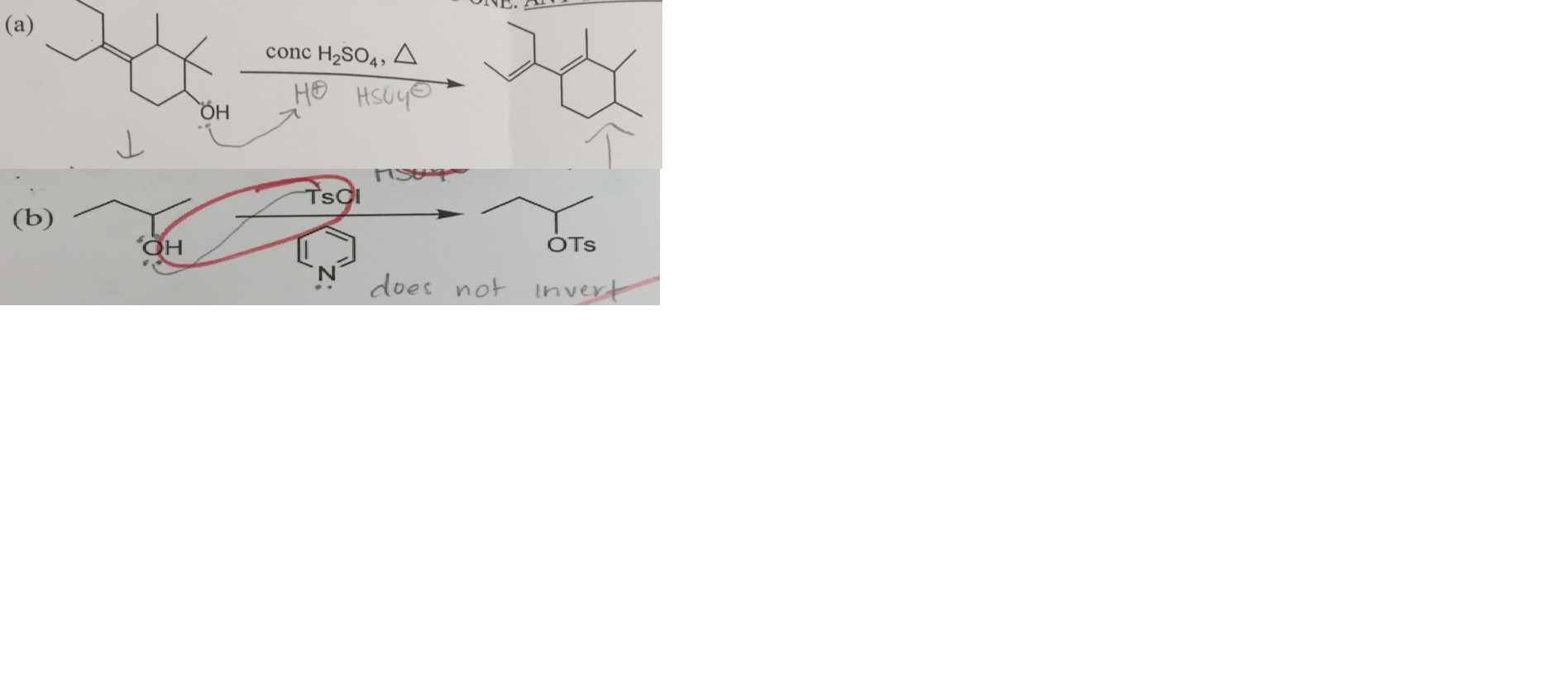 Solved Write The Mechanism For Each Of The Following Chegg