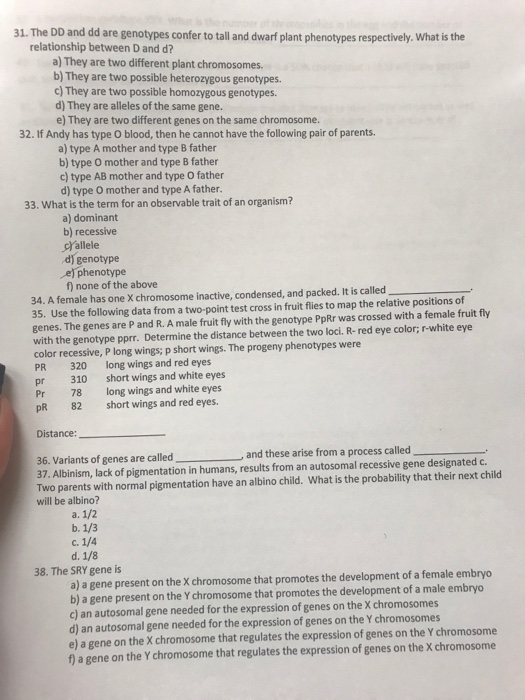 What Is The Term For An Observable Trait Of An Organism