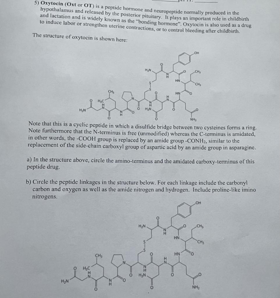 Solved 5 Oxytocin Oxt Or OT Is A Peptide Hormone And Chegg