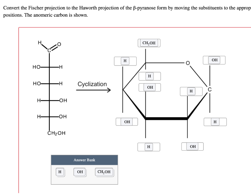 Solved Convert The Fischer Projection To The Haworth Chegg