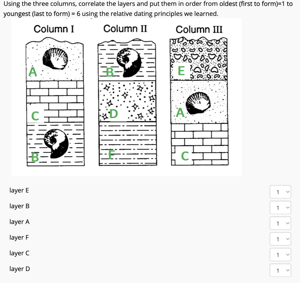 Solved Using The Three Columns Correlate The Layers And Put Chegg