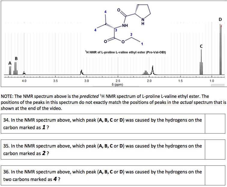 Solved N D ΝΗ H NMR of L proline L valine ethyl ester Chegg