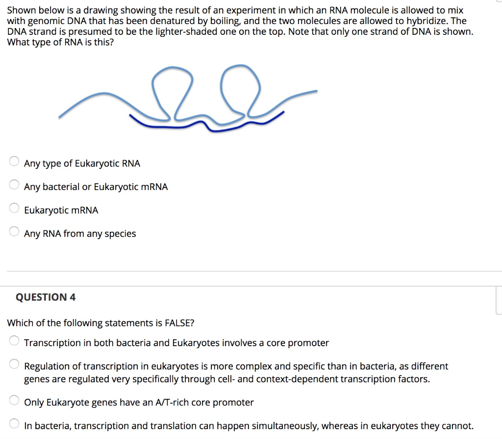 Solved Shown Below Is A Drawing Showing The Result Of An Chegg