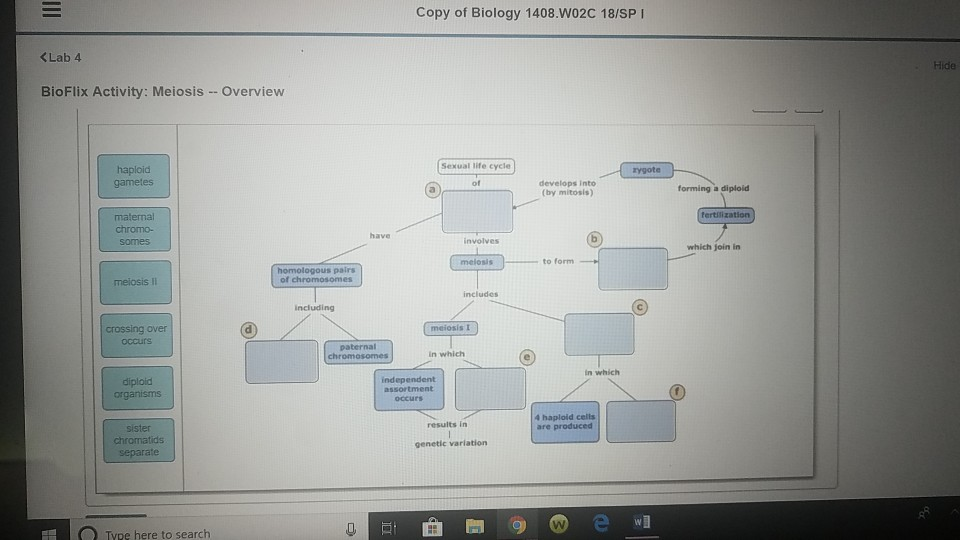 Solved Copy Of Biology W C Spi Klab Bioflix Chegg