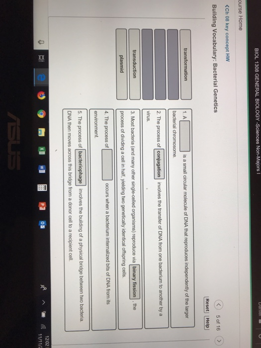 Solved 118 Exercise 9 Meiosis And Genetics 7 In Peas Tall Chegg