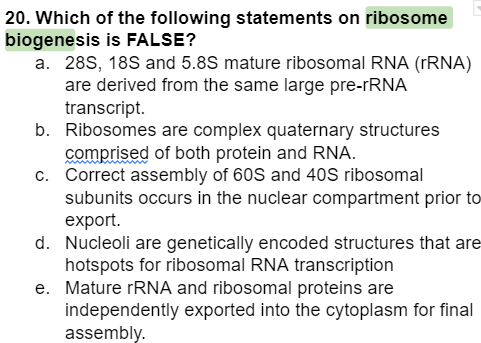 Solved Which Of The Following Statements On Ribosome Chegg