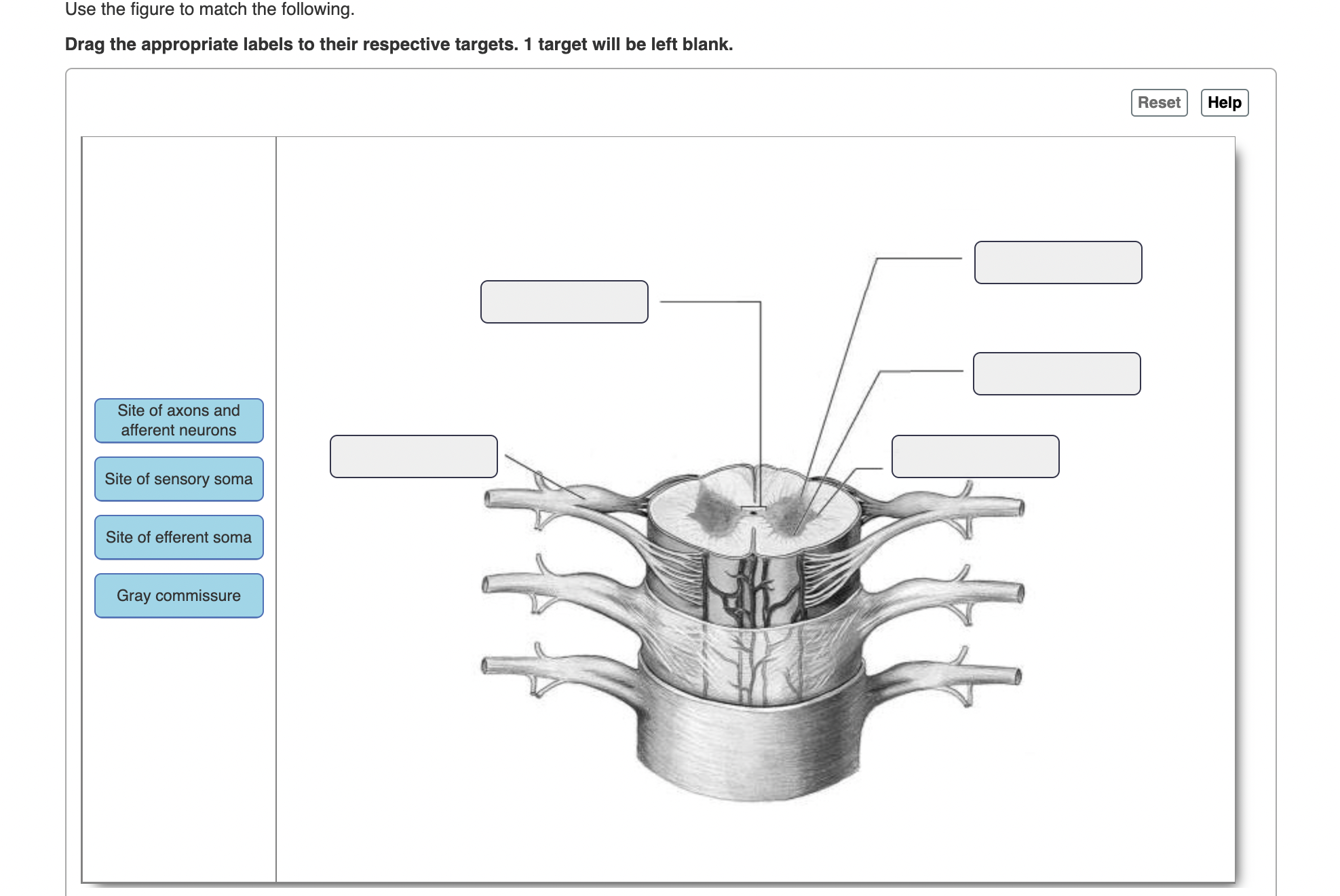 Solved Use The Figure To Match The Following Drag The Chegg