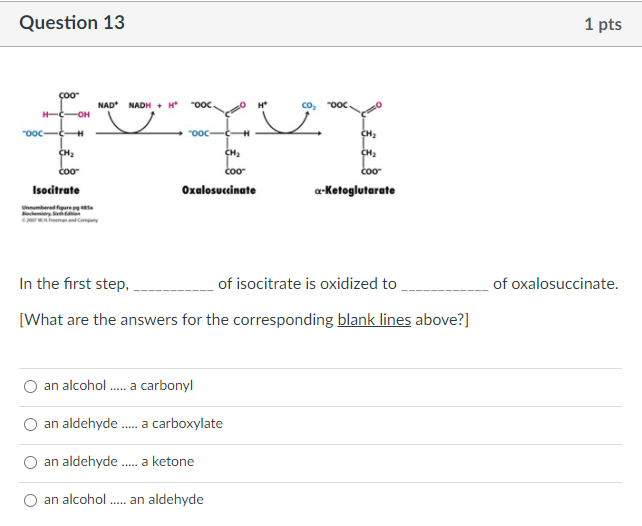 Solved Question 13 1 Pts COO NAD NADH N MOOC CO OOC H COH Chegg