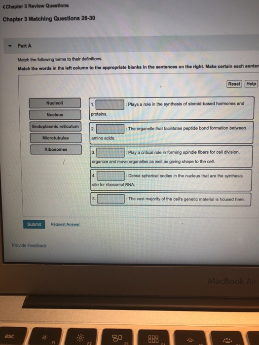 Solved Cchapter Revlew Questions Chapter Matching Chegg