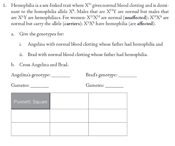 Solved Hemophilia Is A Sex Linked Trait Where Xh Gives Chegg