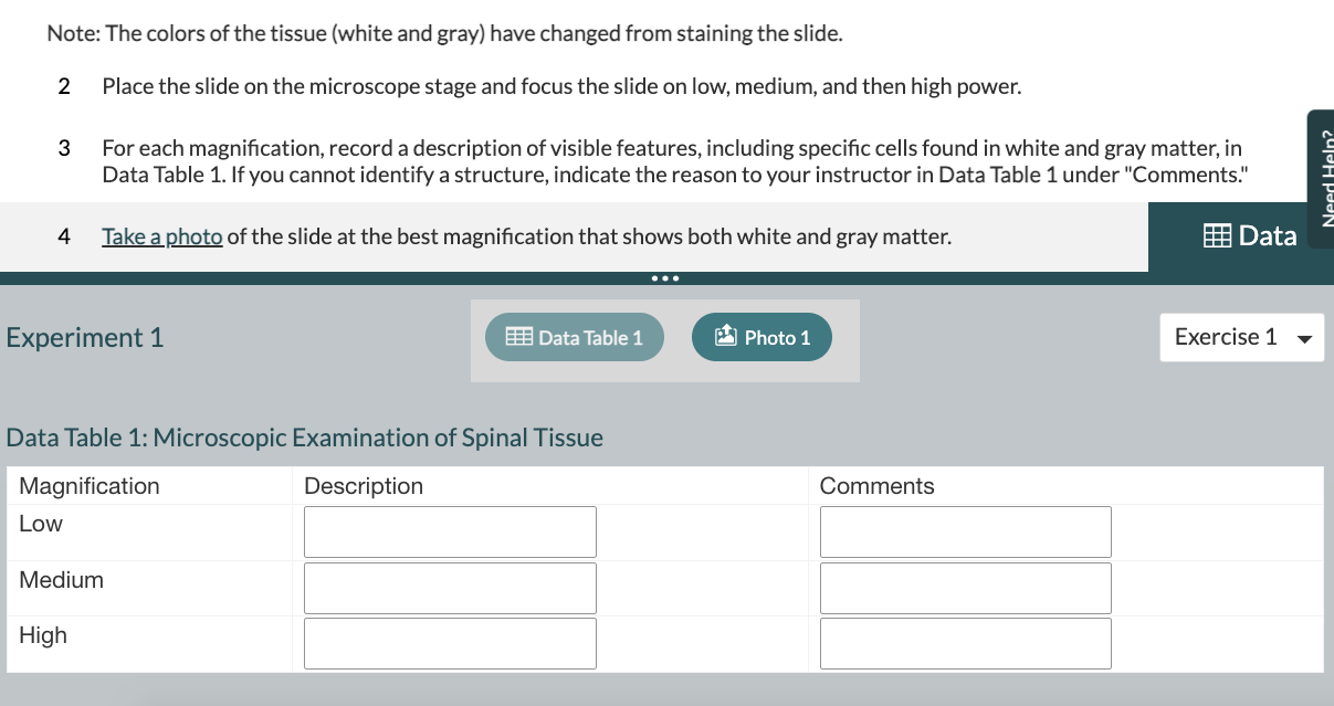 Solved Note The Colors Of The Tissue White And Gray Have Chegg