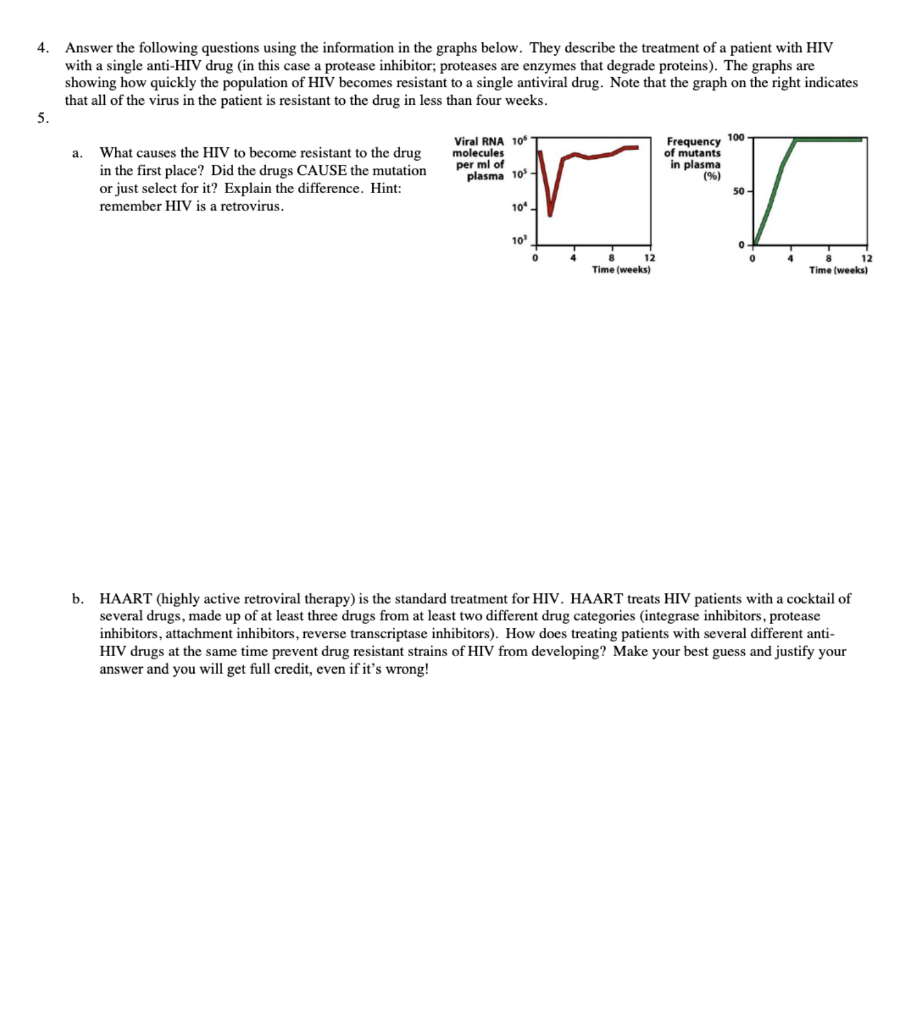 Solved 4 Answer The Following Questions Using The Chegg