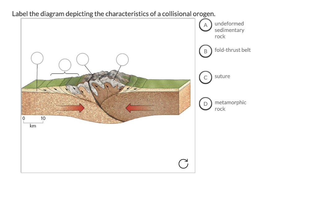 Solved Label The Diagram Depicting The Characteristics Of A Chegg