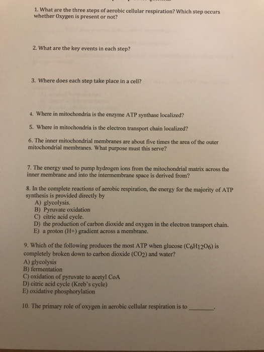 Solved 1 What Are The Three Steps Of Aerobic Cellular Chegg