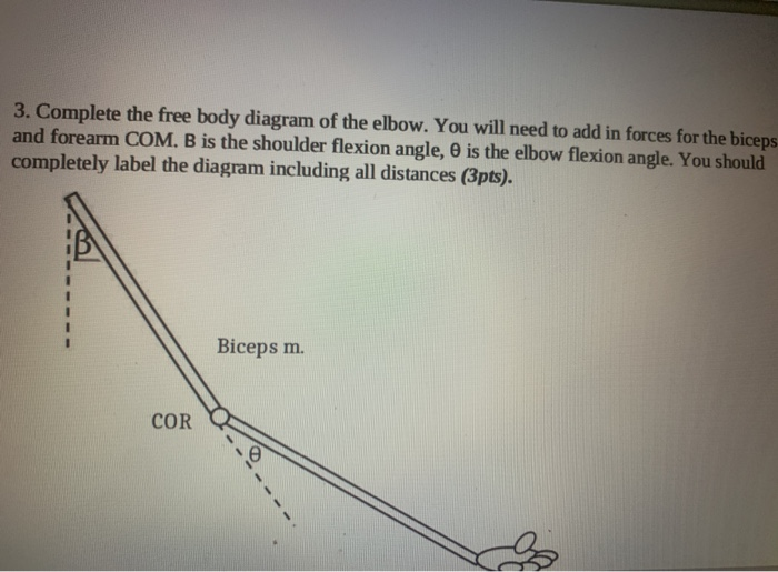 Solved 2 Draw A Moment Arm On The Following Model Human Arm Chegg