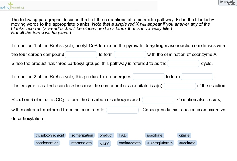 Help with precalculus homework