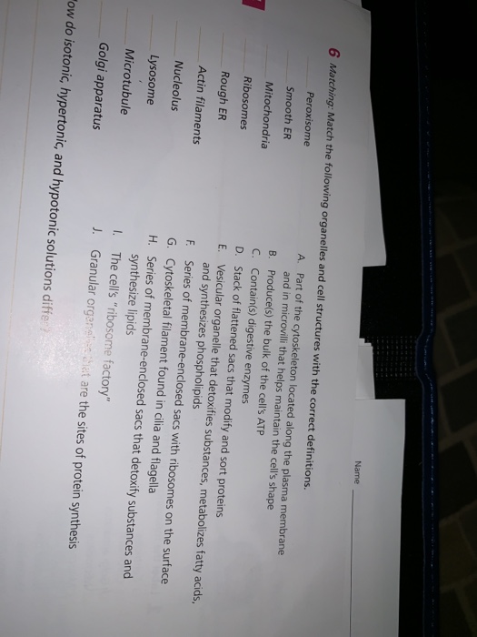 Solved Name 6 Matching Match The Following Organelles And Chegg