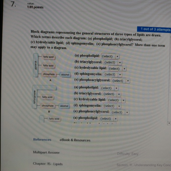 Block Diagrams Representing The General Structures Solved Va