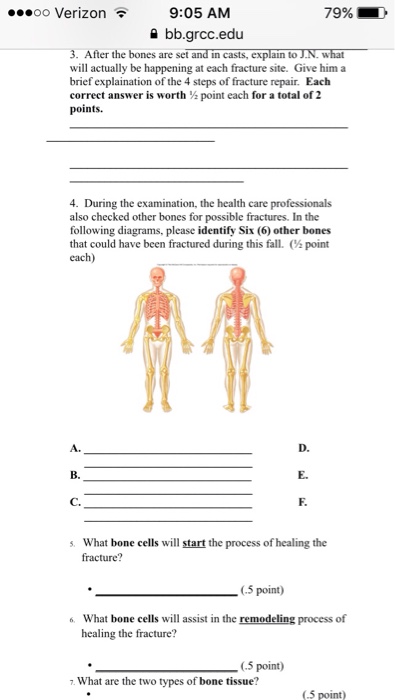 firefighter 1 homework answers