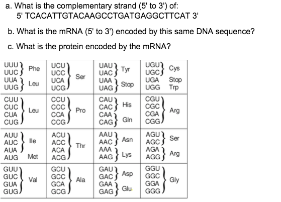 Solved A What Is The Complementary Strand To Of Chegg