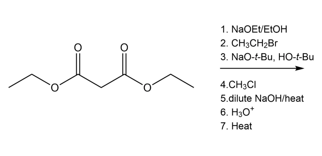 Solved 1 NaOEt EtOH 2 CH3CH2Br 3 NaO T Bu HO A Bu Chegg