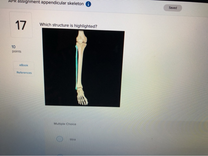 Solved Apr Assignment Appendicular Skeleton I Saved Which Chegg