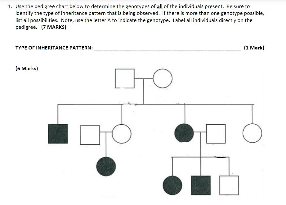 Solved Only Information I Have Use The Pedigree Char