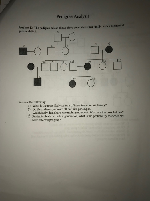 Solved Pedigree Analysis Problem D The Pedigree Below Shows Chegg