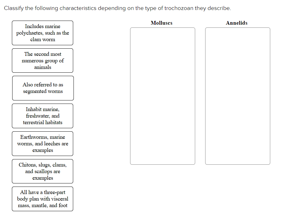 Solved Classify The Following Characteristics Depending On Chegg