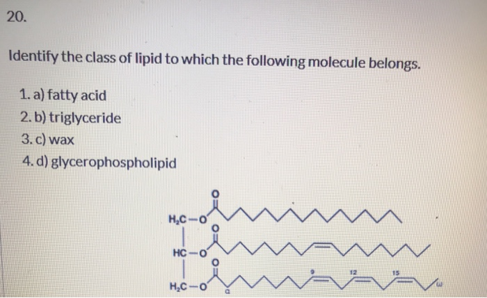 Identify The Following Lipid