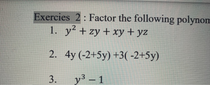 Solved Exercies Factor The Following Polynom Y Zy Chegg