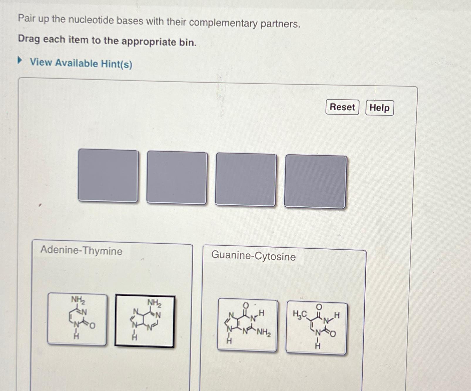 Solved Pair Up The Nucleotide Bases With Their Complementary Chegg